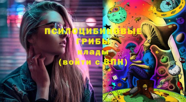спиды Корсаков