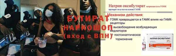 сатива Коряжма