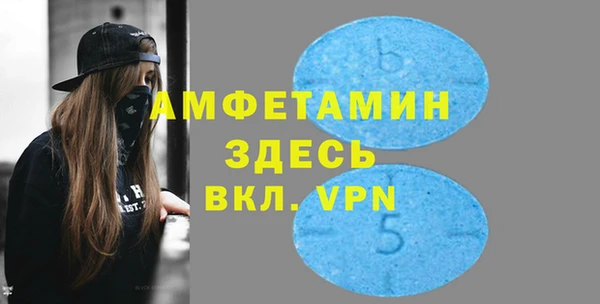 сатива Коряжма