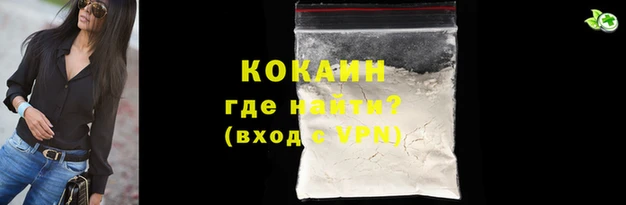 дмт Краснослободск
