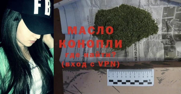 дмт Краснослободск