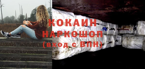 дмт Краснослободск