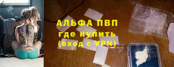 сатива Коряжма