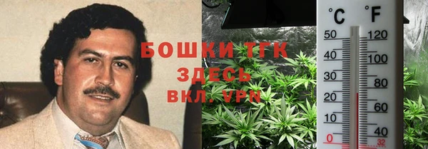 сатива Коряжма