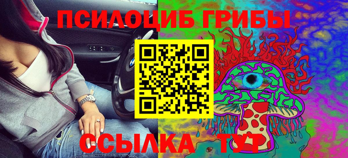 Петрозаводск  Псилоцибиновые грибы мицелий  Вход с VPN 